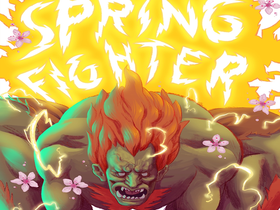 Spring Fighter 2017